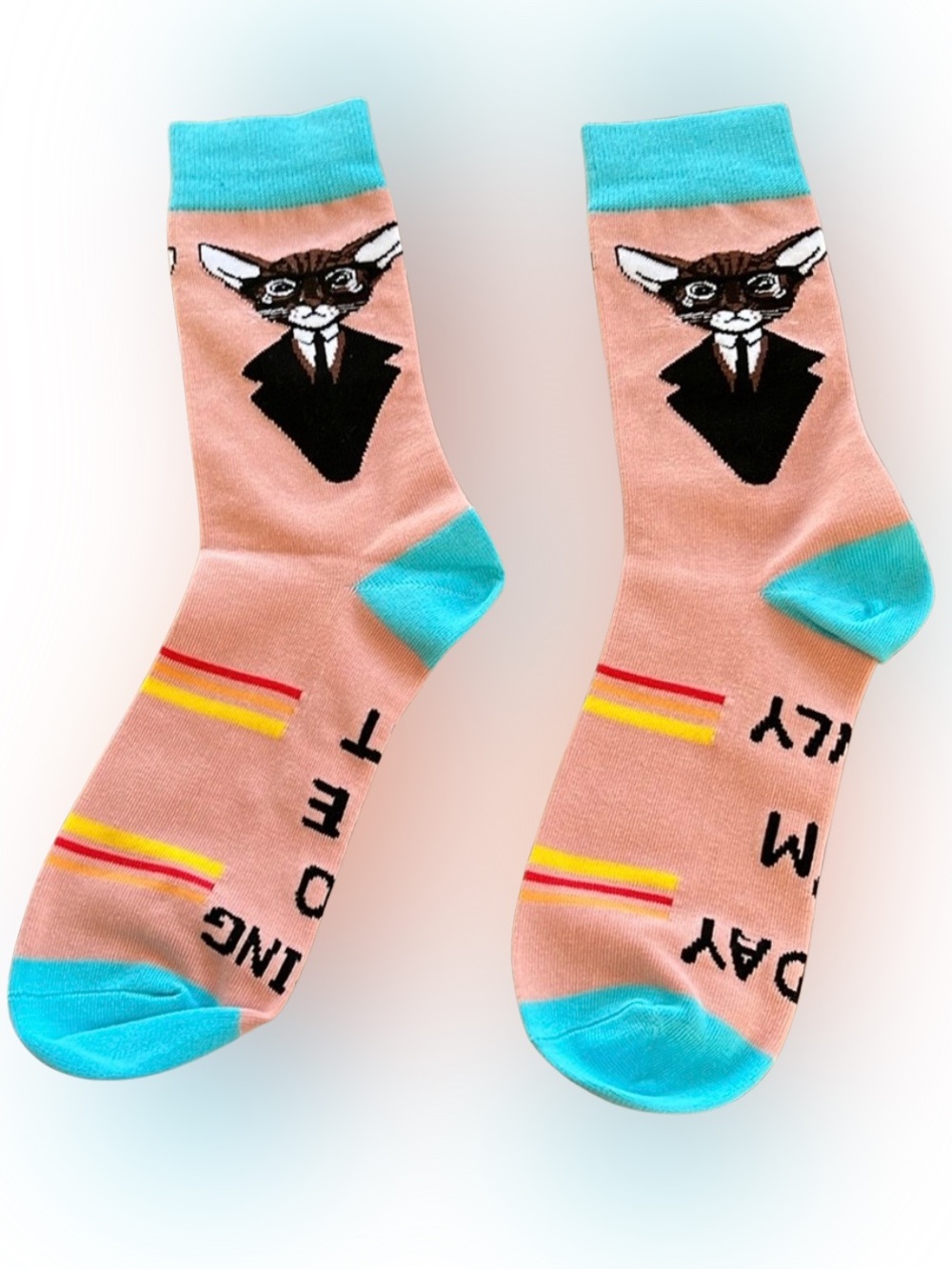 Today I’m only Talking to the Cat Socks